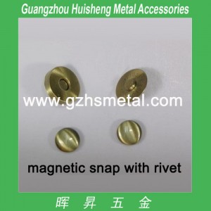Magnetic Snap-Rivet Type